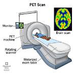 scan bet